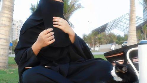 娱乐吃瓜君的视频,视频内容大起底，热点事件深度剖析